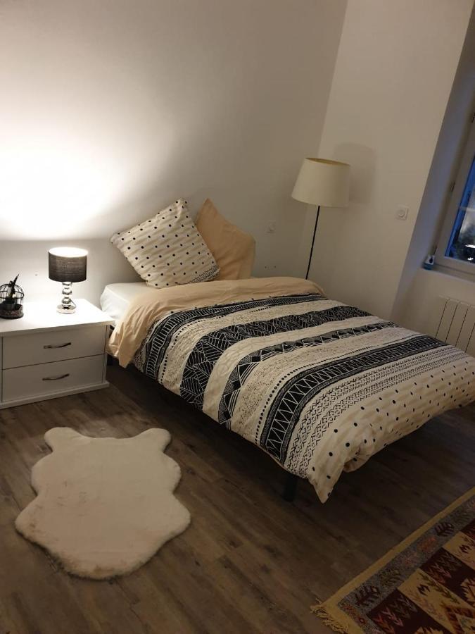 Appartement Cosy Et Chaleureux Лон-льо-Соние Екстериор снимка